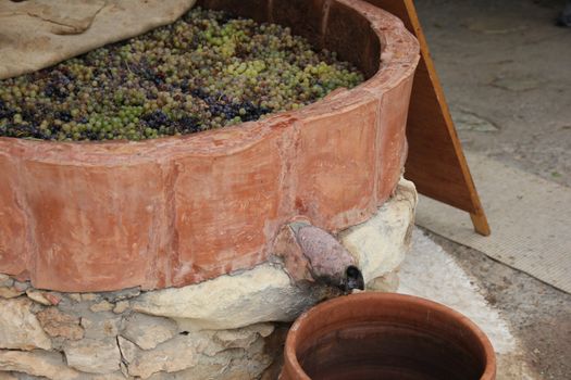 ripe grapes in a large keg prepared to extrude
