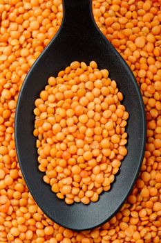 Top view of black spoon full of red lentils