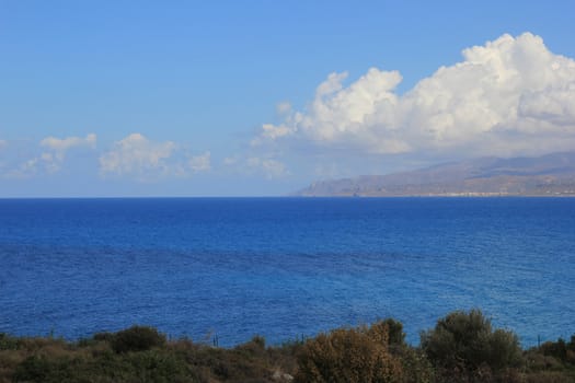 mountain plants on the background of sky and sea landscape
