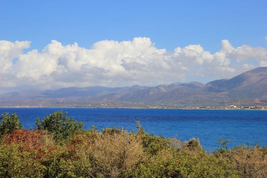 mountain plants on the background of sky and sea landscape
