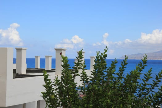 green bush on the background of the sea