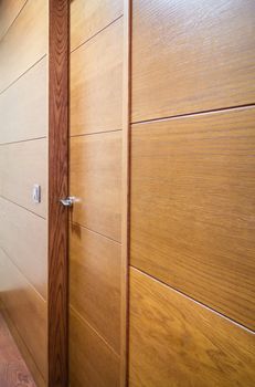 Closeup of wooden wall with closed door and a light switch