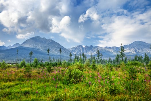 Mountains in National Park High Tatra. Slovakia, Europe