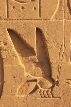 Ancient hieroglyphics on the walls of Karnak temple complex, Luxor, Egypt