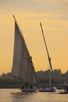Felucca boats sailing on the Nile river at sunset, Luxor, Egypt