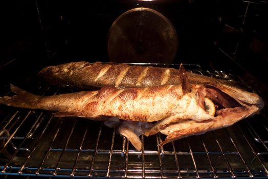 Photo of two grilled fishes ready to eating