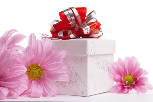 Gift-box with red bow with pink daisies over white