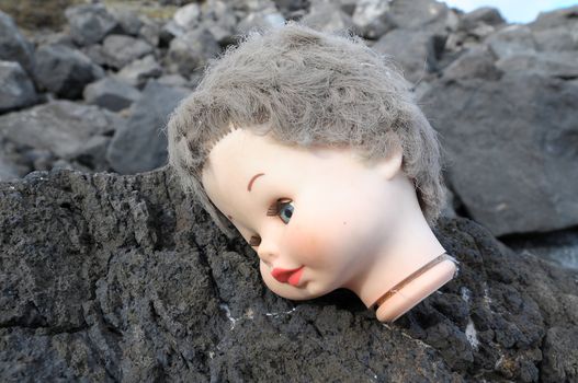 One Ancient Dool's Head Abandoned on the Rocks