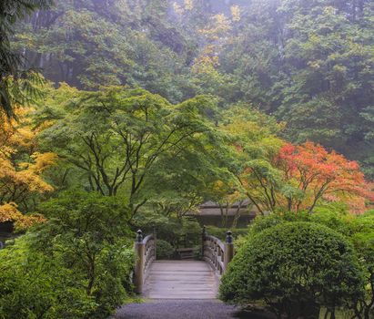 Foggy Morning in Japanese Garden with Wooden Foot Bridge during Fall Season