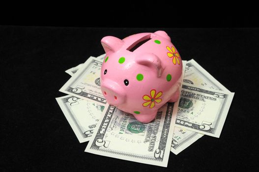 Save Money with One Pink Pig Piggy Bank