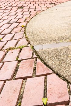 Sidewalk Curving walk  from  Paving Stones and wood walls garden