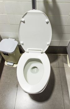 White flush toilet and lavatory pan