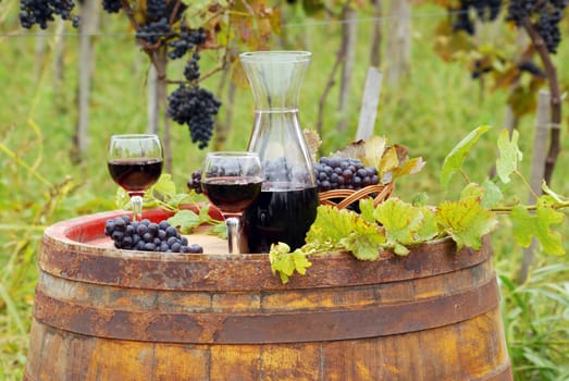 glasses and bottle with red wine in vineyard