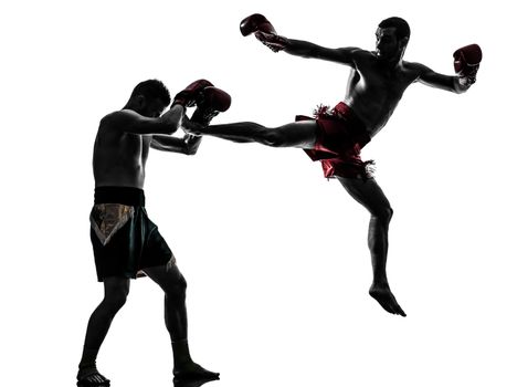 two caucasian  men exercising thai boxing in silhouette studio  on white background