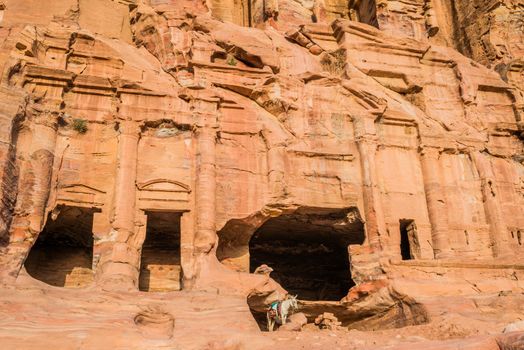 donkey and royal tombs in nabatean petra jordan middle east