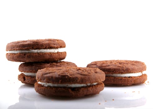 Chocolate Biscuits