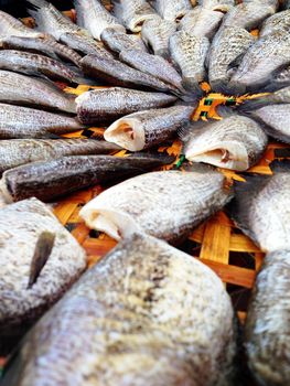 drying snakeskin gourami fishes