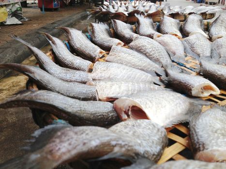 drying snakeskin gourami fishes