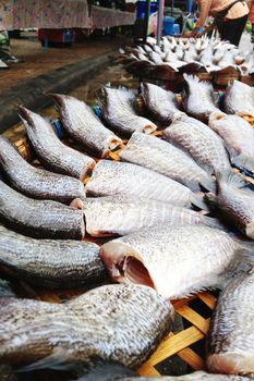 drying snakeskin gourami fishes