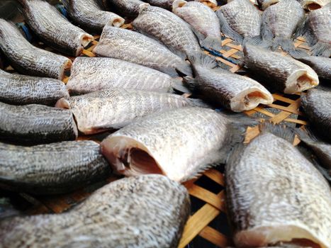 drying snakeskin gourami fishes