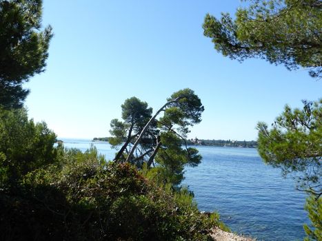 Adriatic sea near Rovinj: Rovigno or  Rovinj is a small but  charming Croatian city on the Adriatic sea.