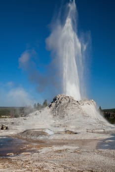 Gayser eruption in Castle Geyser in the Yellowstone National Park