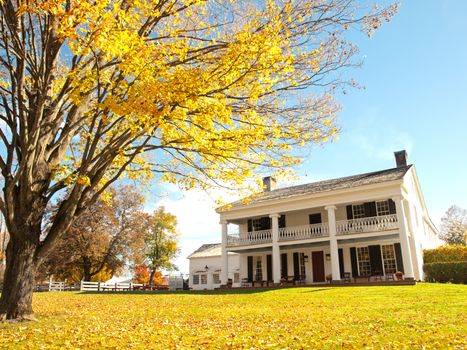 beautiful plantation in autumn