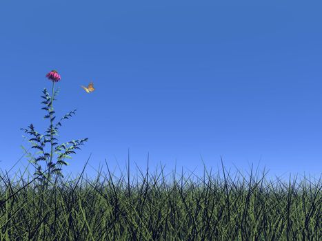 One flower standing out of the grass, butterfly flying around and blue sky
