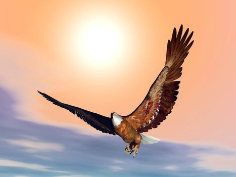 Eagle flying in front of the sunset with wings wide open