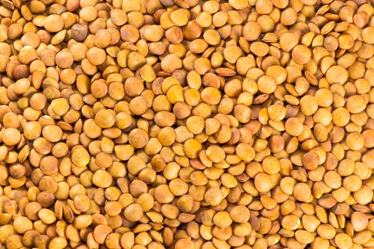 Dry lentil beans background