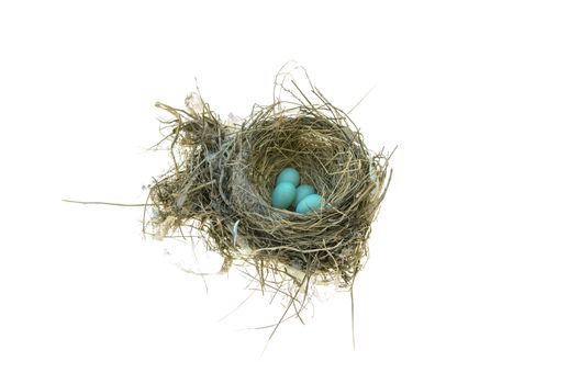 Robins nest with 4 eggs in it. Isolated on a white background