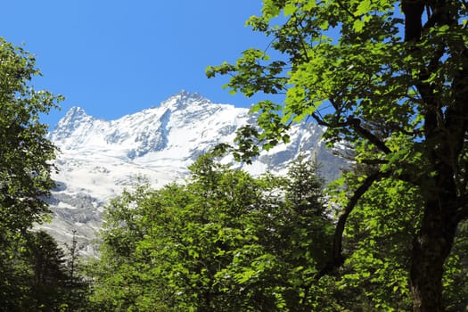 Snowy caucasus mountains and green forest under
