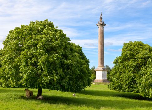 The Column of Victory in the Blenheim Palace Grounds, Oxfordshire, England