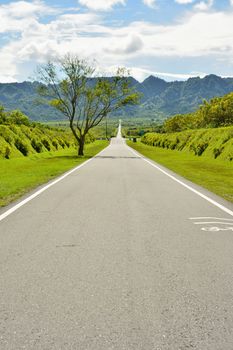 Rural landscape with road in daytime, Hualien, Taiwan, Asia.