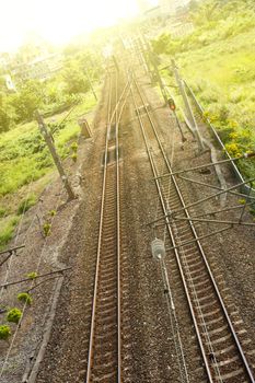 Railroad between meadow in Taiwan, Asia.