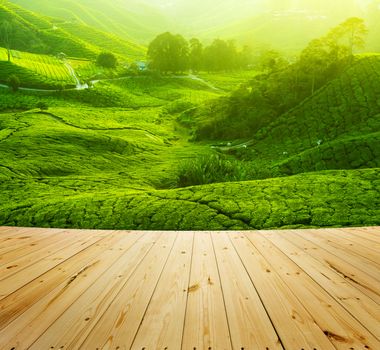 Tea Plantations at Cameron Highlands Malaysia, wood floor perspective. Sunrise in early morning with fog.