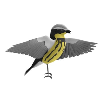 3D digital render of a songbird wrabler isolated on white background