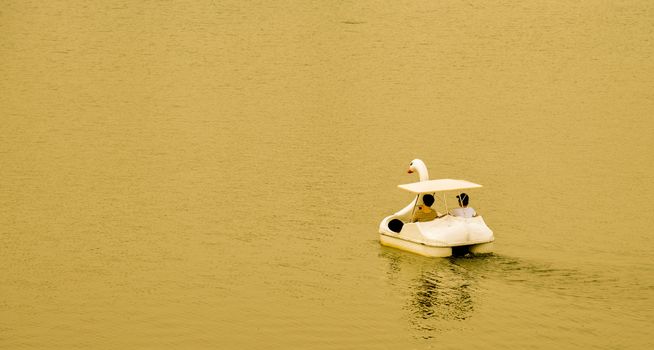 Swan watercycle in sunset