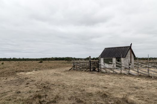 Old farm in the gloomy field. Island of Gotland, Sweden.