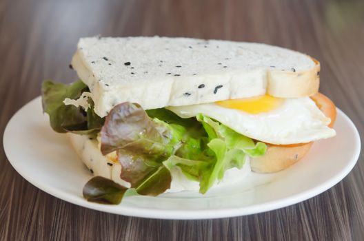 close up  sandwich with tomatoes , lettuce and fried egg on dish
