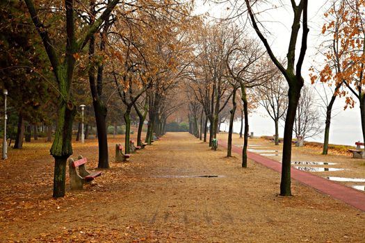 Path going through an autumn forest