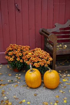 Pumpkin, New England, Autumn or Fall display