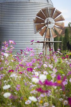 Antique Farm Windmill and Silo near a Flower Field in a Beautiful Country Outdoor Setting.
