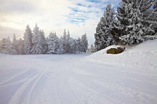 Skiing slope in the French Alpes