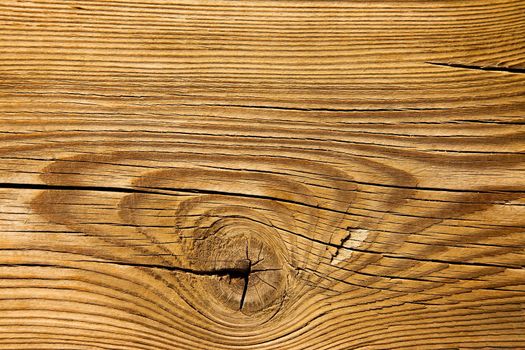 Wood background texture close up