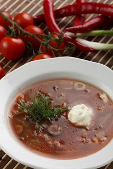 Cold and fresh soup with meat on the wooden table