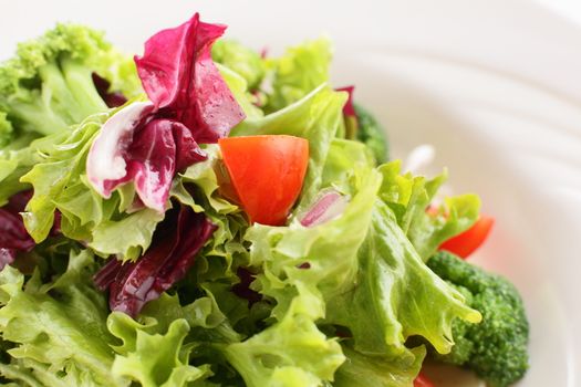 fresh and tasty salad on white background