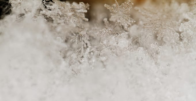 beauty white snowflake crystals on dark background