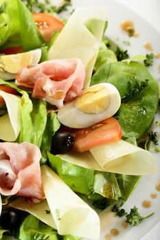 fresh and tasty european salad on white dish