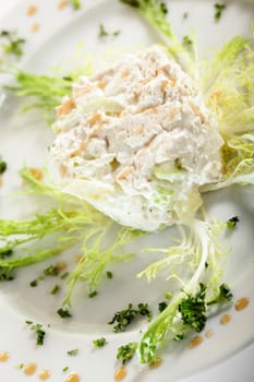 fresh and tasty european salad on white dish